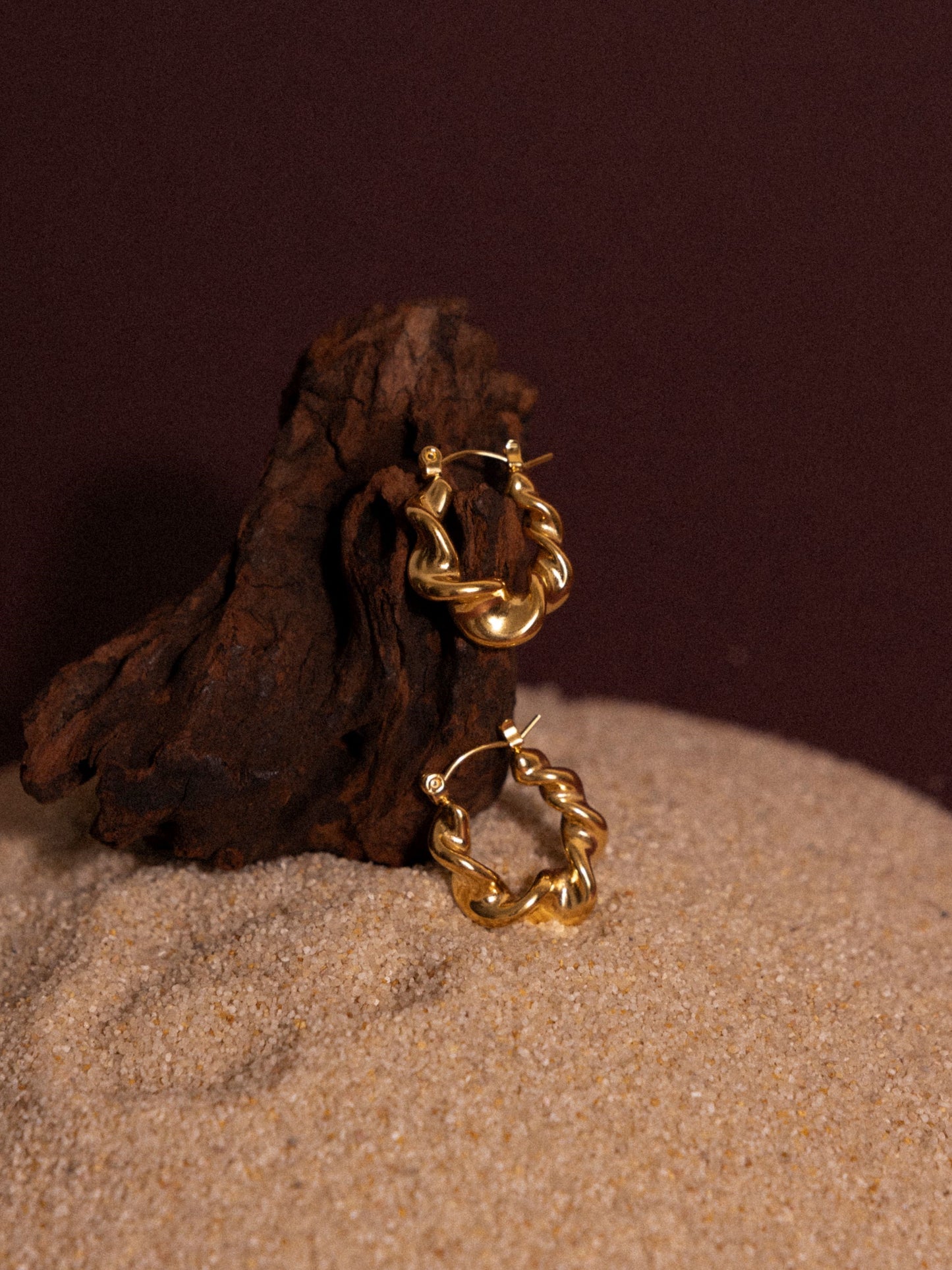 Sculpted braid hoop earrings