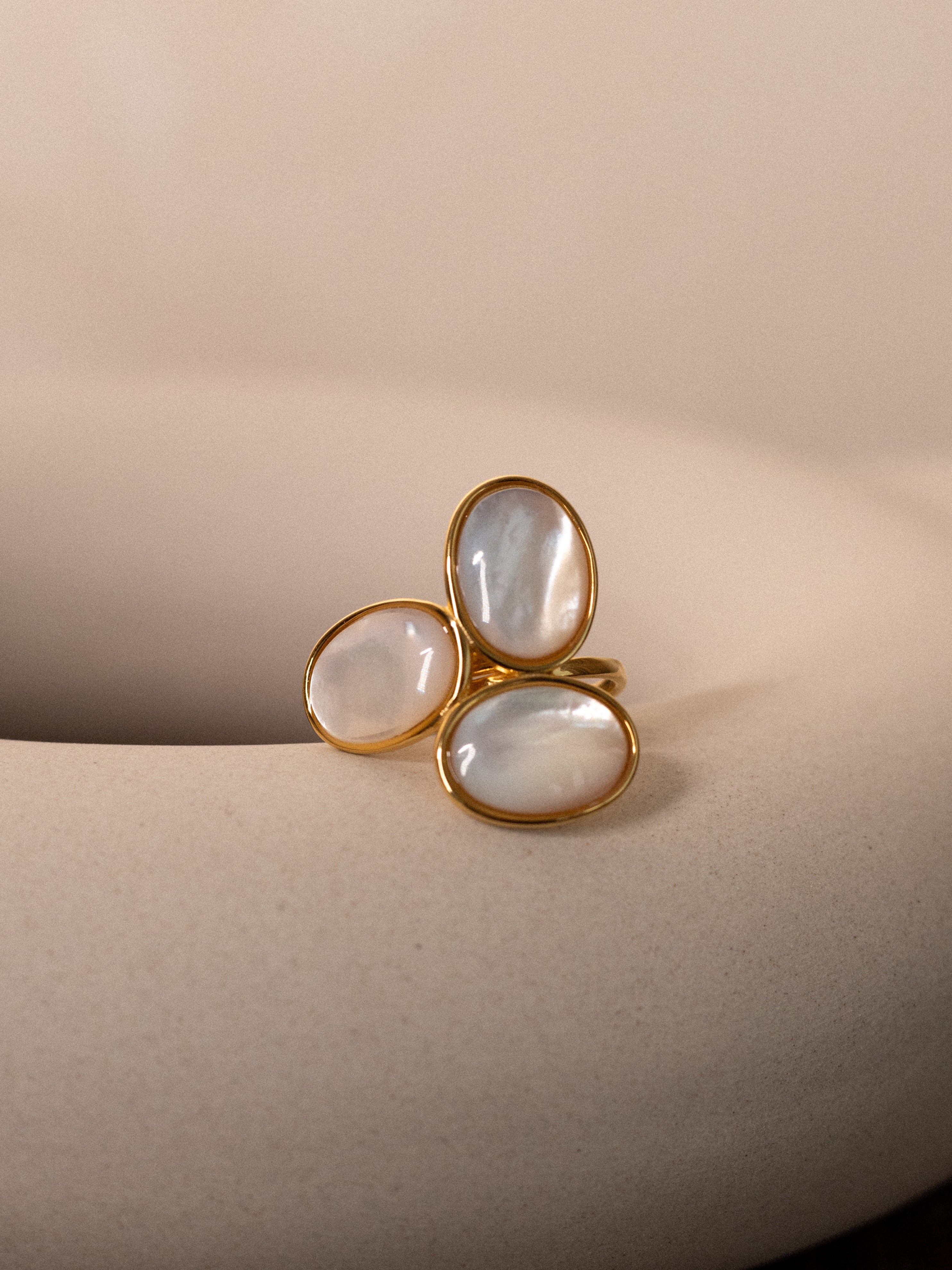Ring Types Adjustable Ring type: Adjustable Ring – The individual society