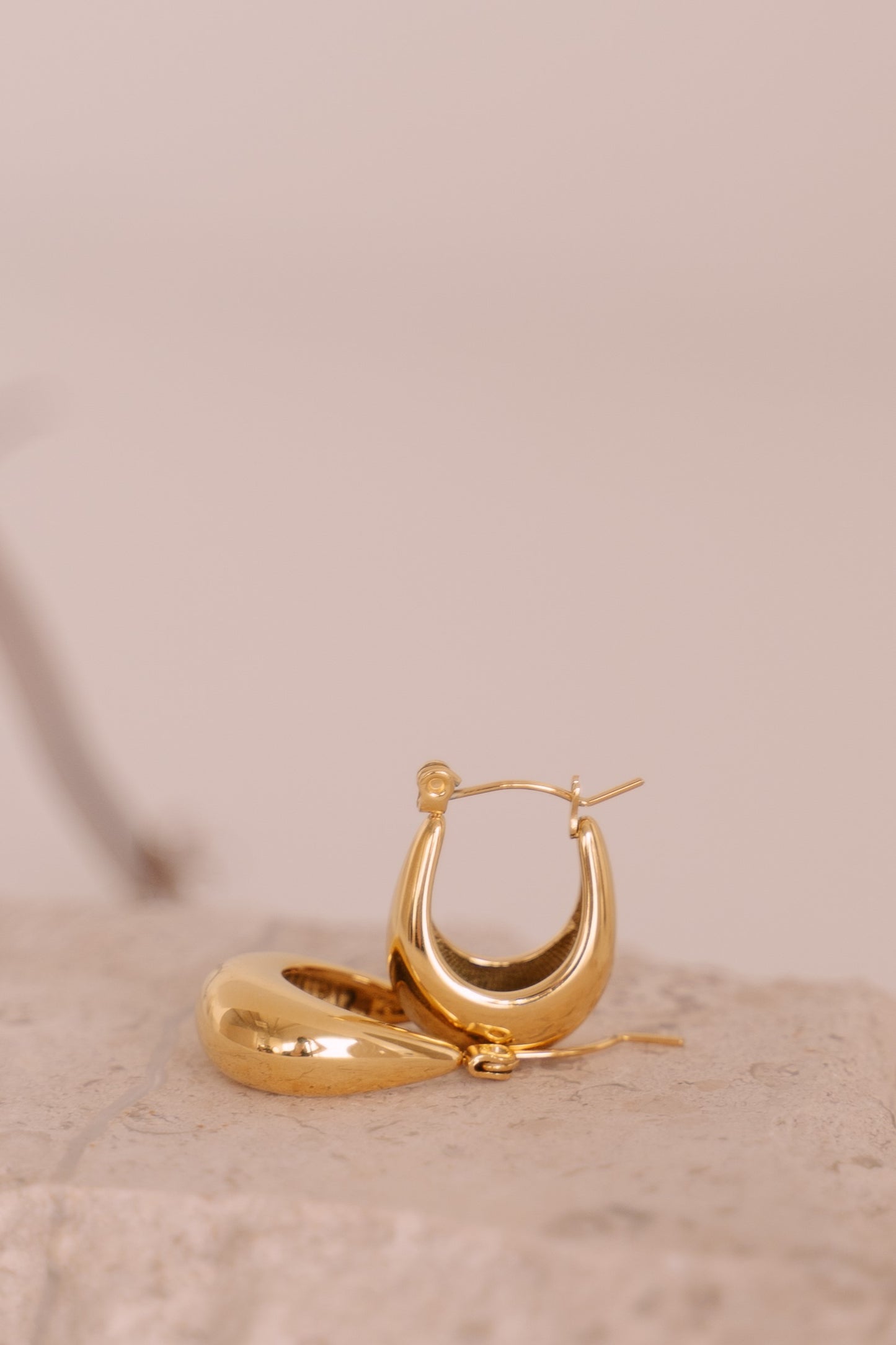 Dainty adornment earrings