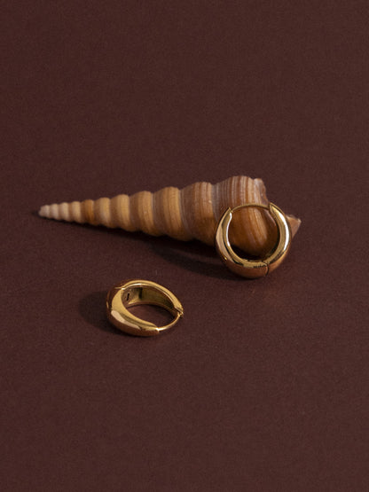 Everyday hoop earrings